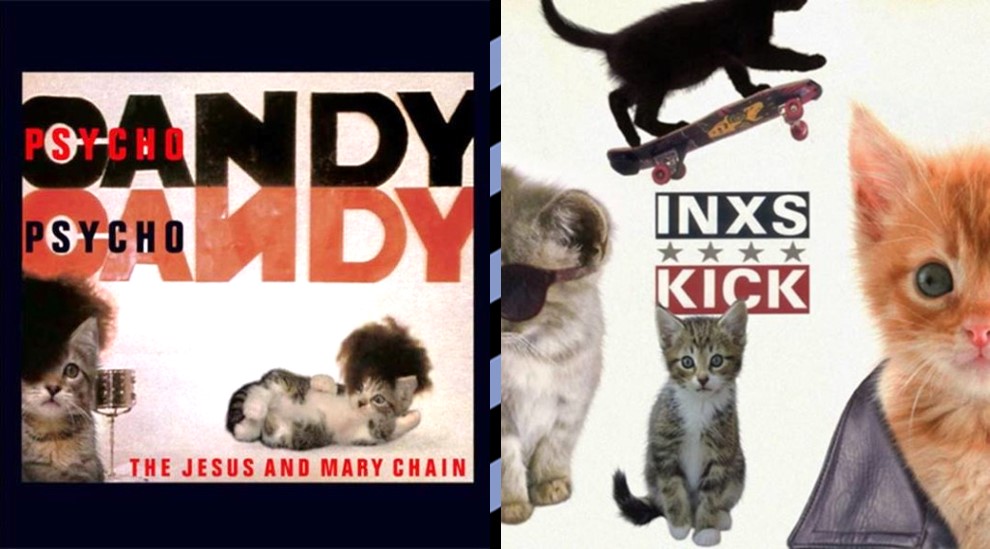 Gatos invadiendo algunas portadas de nuestros discos preferidos – Sound &  Vision