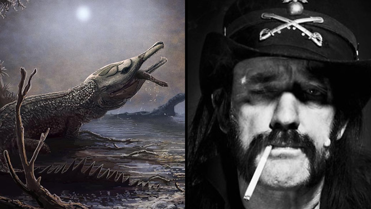 Cocodrilo prehistórico es bautizado en honor a Lemmy Kilmister (Motörhead)  – Sound & Vision